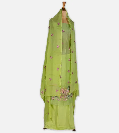 light-green-organza-embroidery-salwar-c0762007-c