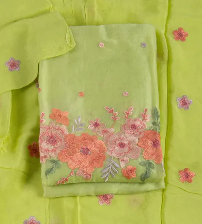 light-green-organza-embroidery-salwar-c0762027-a