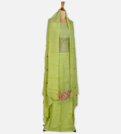 light-green-organza-embroidery-salwar-c0762027-c