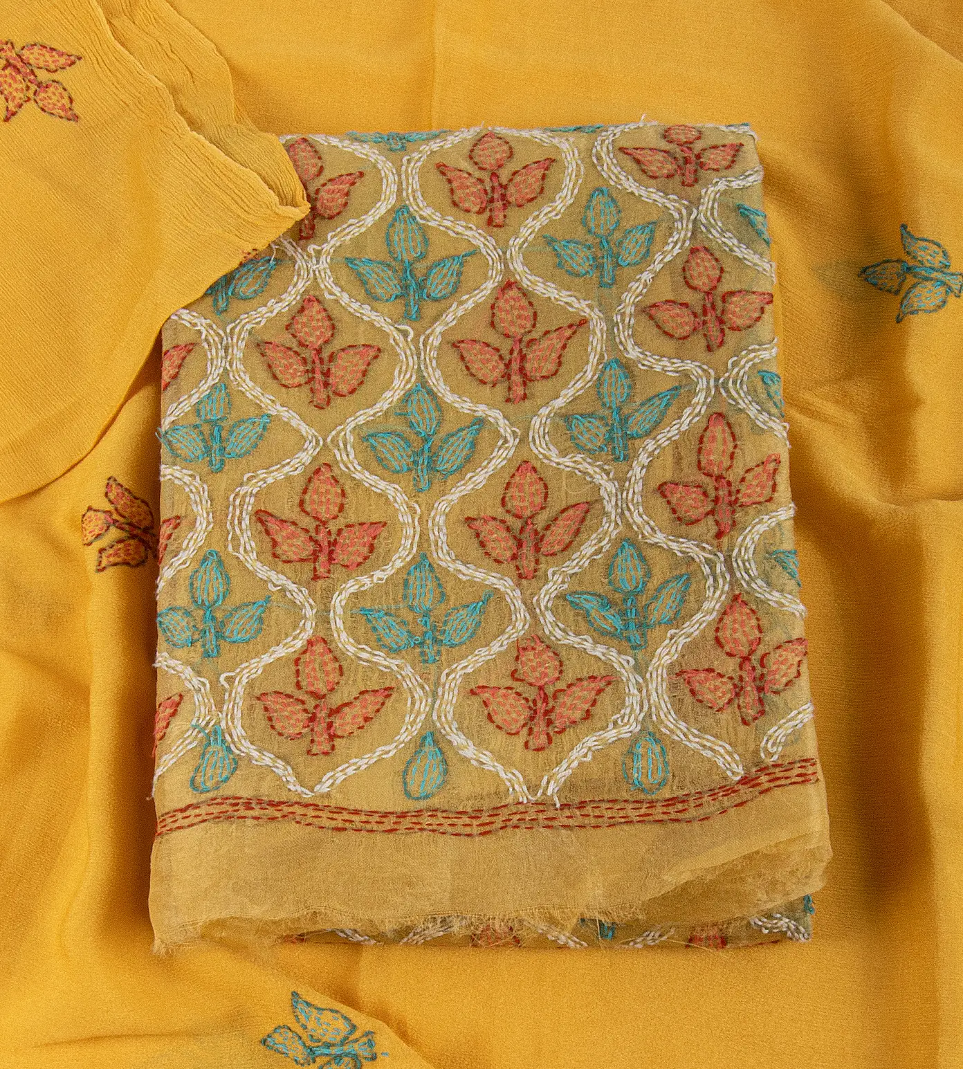 yellow-organza-embroidery-salwar-c0152023-a