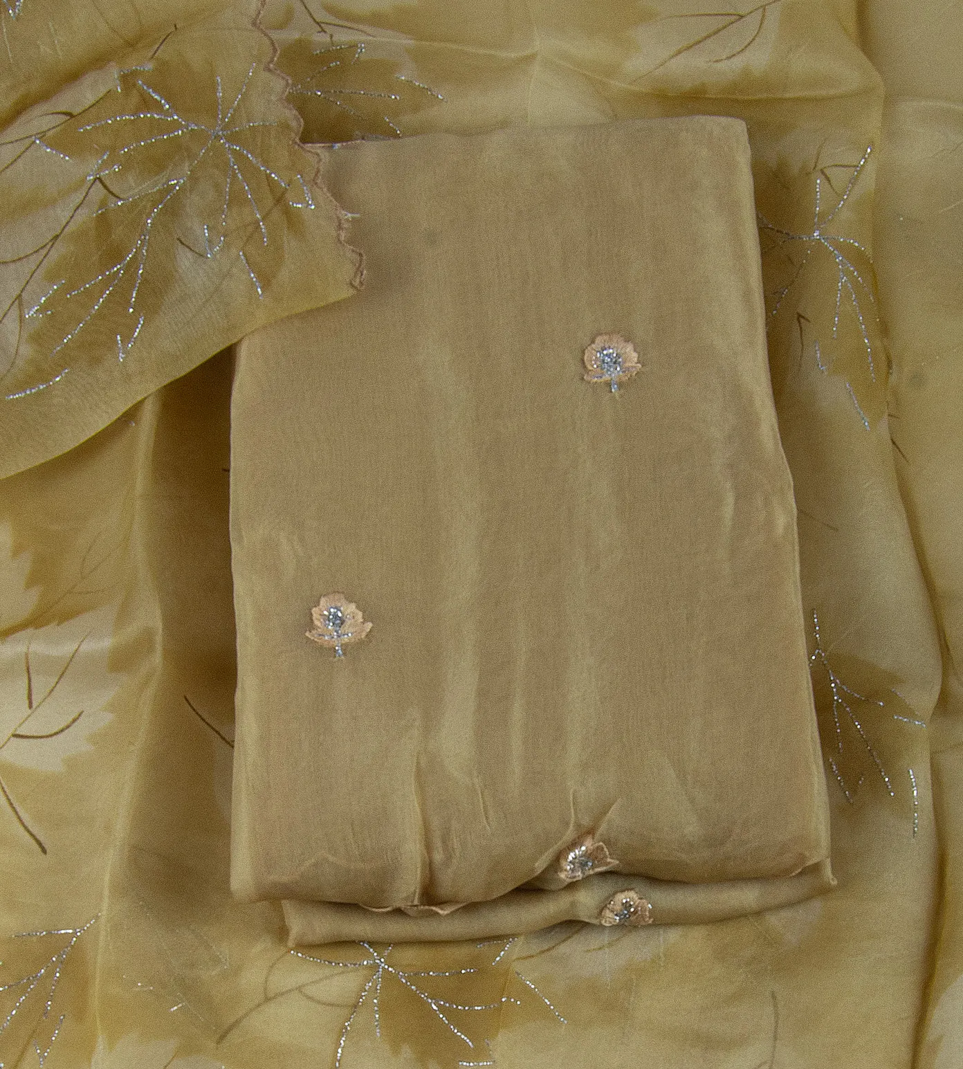 beige-organza-embroidery-salwar-c0762049-a