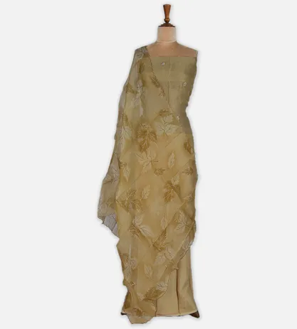 beige-organza-embroidery-salwar-c0762049-b