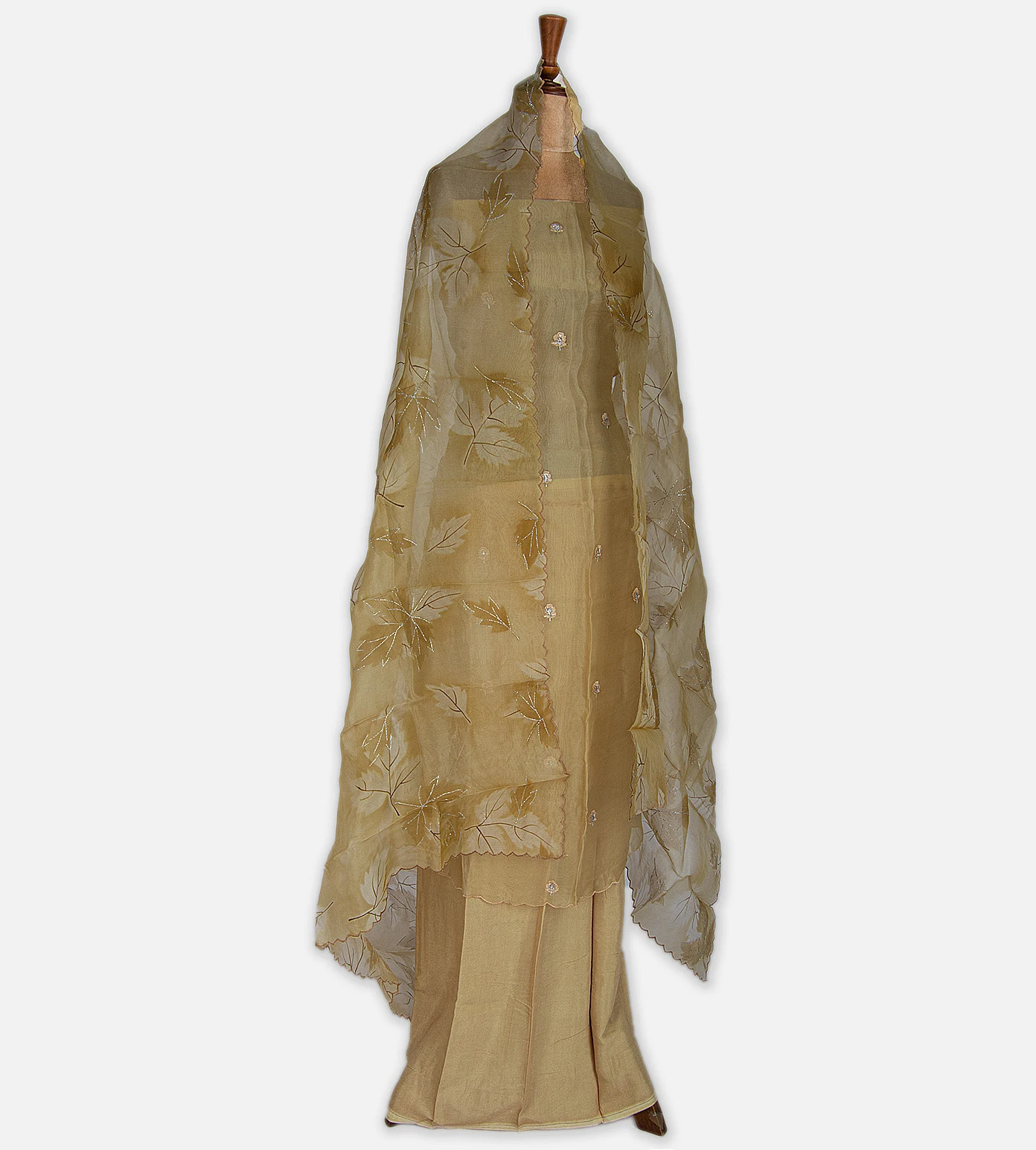 beige-organza-embroidery-salwar-c0762049-c