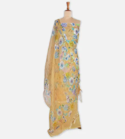 light-brown-silk-kota-salwar-c0762433-b