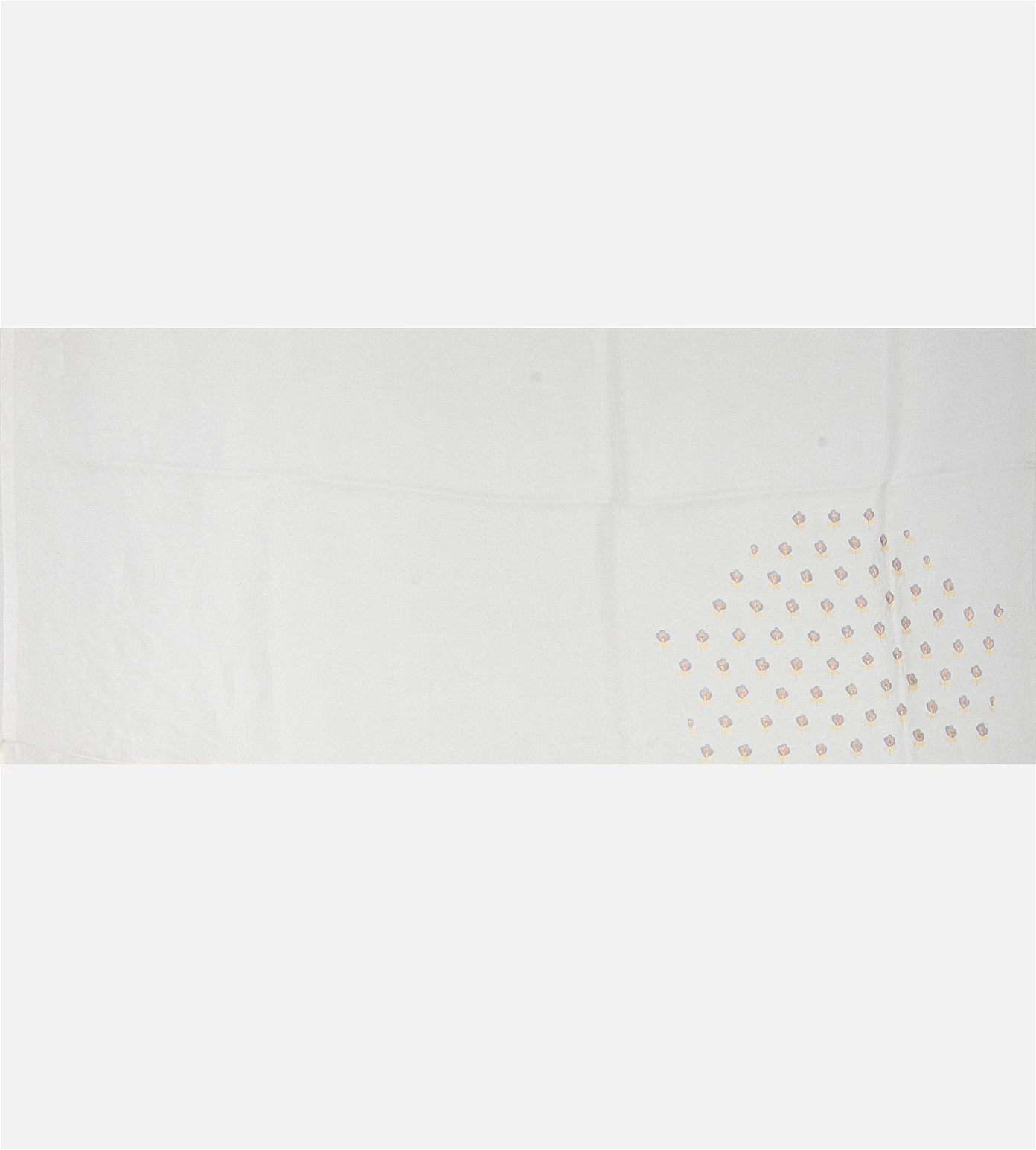 off-white-organza-saree-c0560137-d