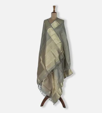 grey-kanchipuram-silk-dupatta-c0457561-b