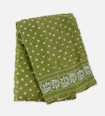 light-green-gajji-silk-dupatta-c0253083-a