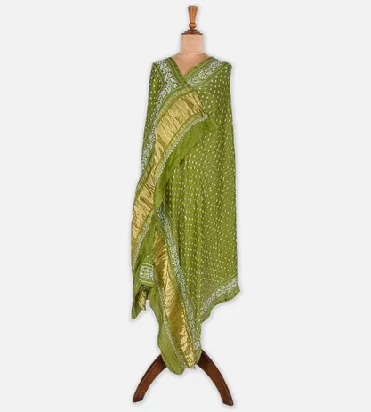 light-green-gajji-silk-dupatta-c0253083-b