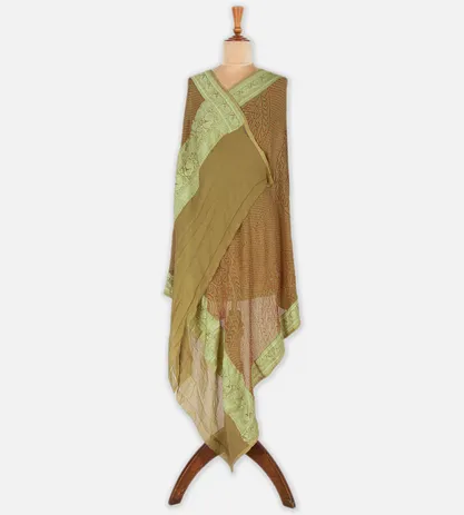 beige-banarasi-georgette-dupatta-c0253118-b