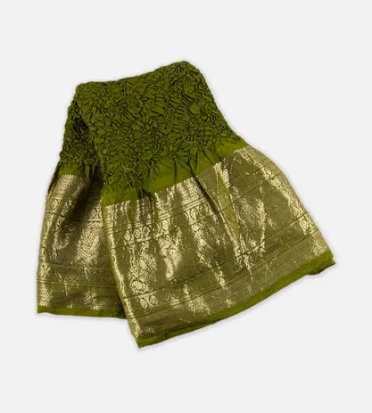 green-kanchipuram-bandhani-dupatta-c0252909-a