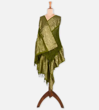 green-kanchipuram-bandhani-dupatta-c0252909-b