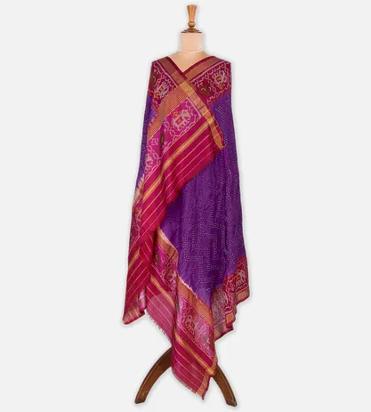 purple-patola-dupatta-c0253110-b