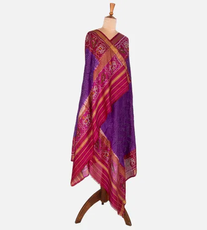 purple-patola-dupatta-c0253110-c