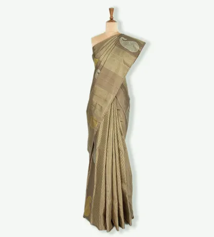 deep-beige-kanchipuram-silk-saree-b0840666-b