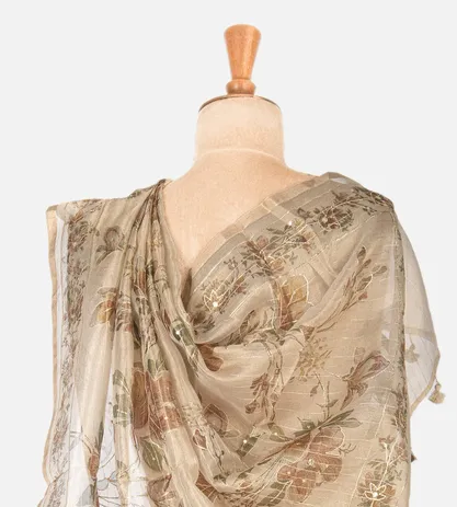 creme-tissue-organza-embroidery-saree-b0637454-c