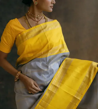 light-grey-kanchipuram-silk-saree-c1076160-c