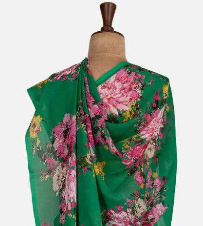 green-chiffon-saree-c1073103-c