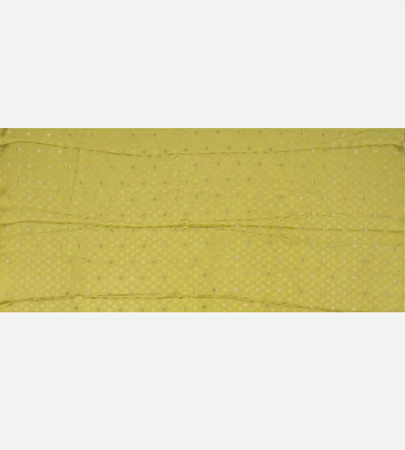 light-green-georgette-saree-c1282586-d