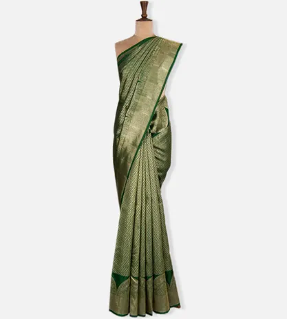 green-kanchipuram-silk-saree-c1178458-b