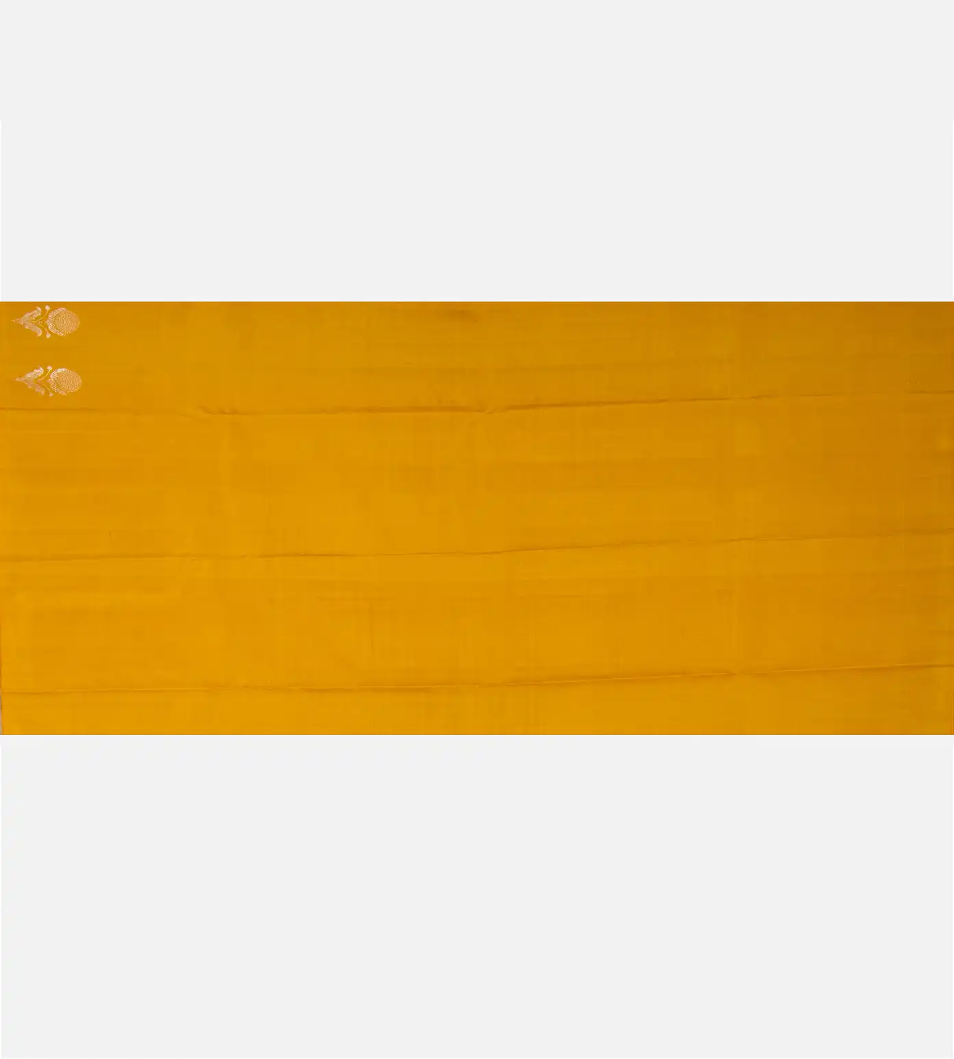 light-blue-kanchipuram-silk-saree-d0292505-d