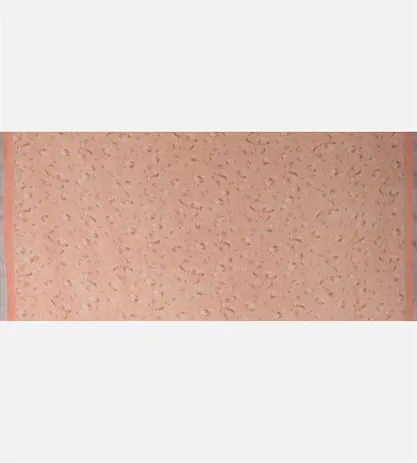 peach-linen-saree-d05104199-d