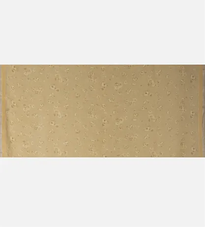 beige-linen-saree-d05104193-d