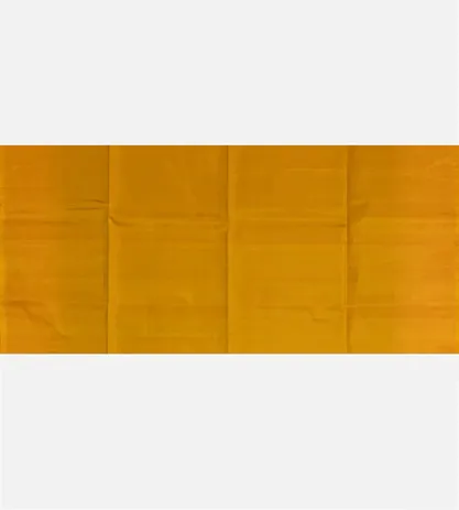 green-kanchipuram-silk-saree-d05104327-d