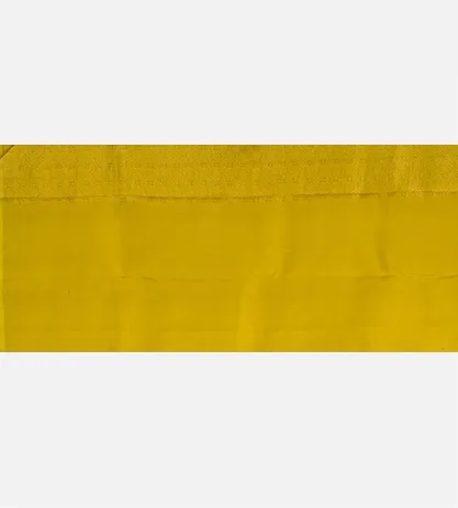 light-green-kanchipuram-silk-saree-d05103711-d