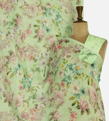 light-green-chiffon-saree-d05105663-a