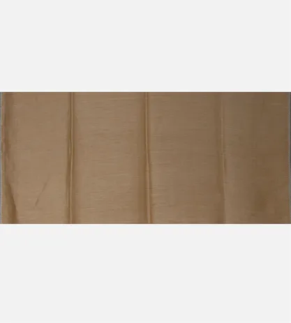 beige-tussar-saree-d05106076-d