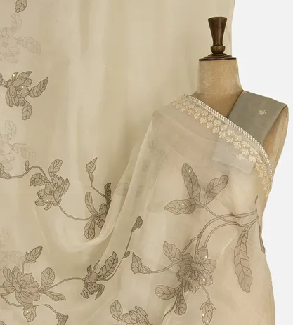 light-beige-organza-saree-with-ap-d06110993-a