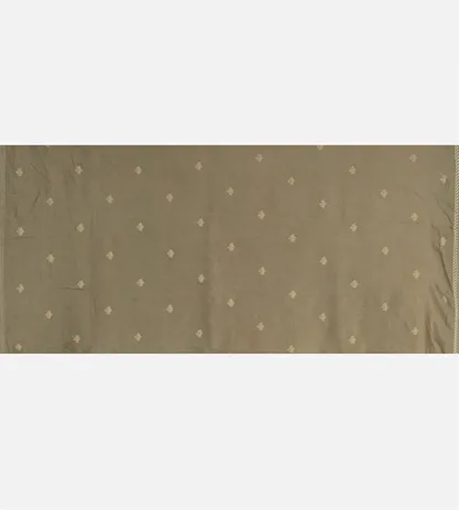 light-beige-organza-saree-with-ap-d06110993-d