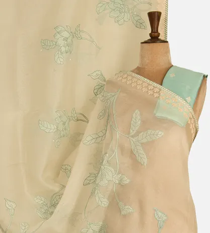 light-beige-organza-saree-with-applique-embroidery-d06110992-a