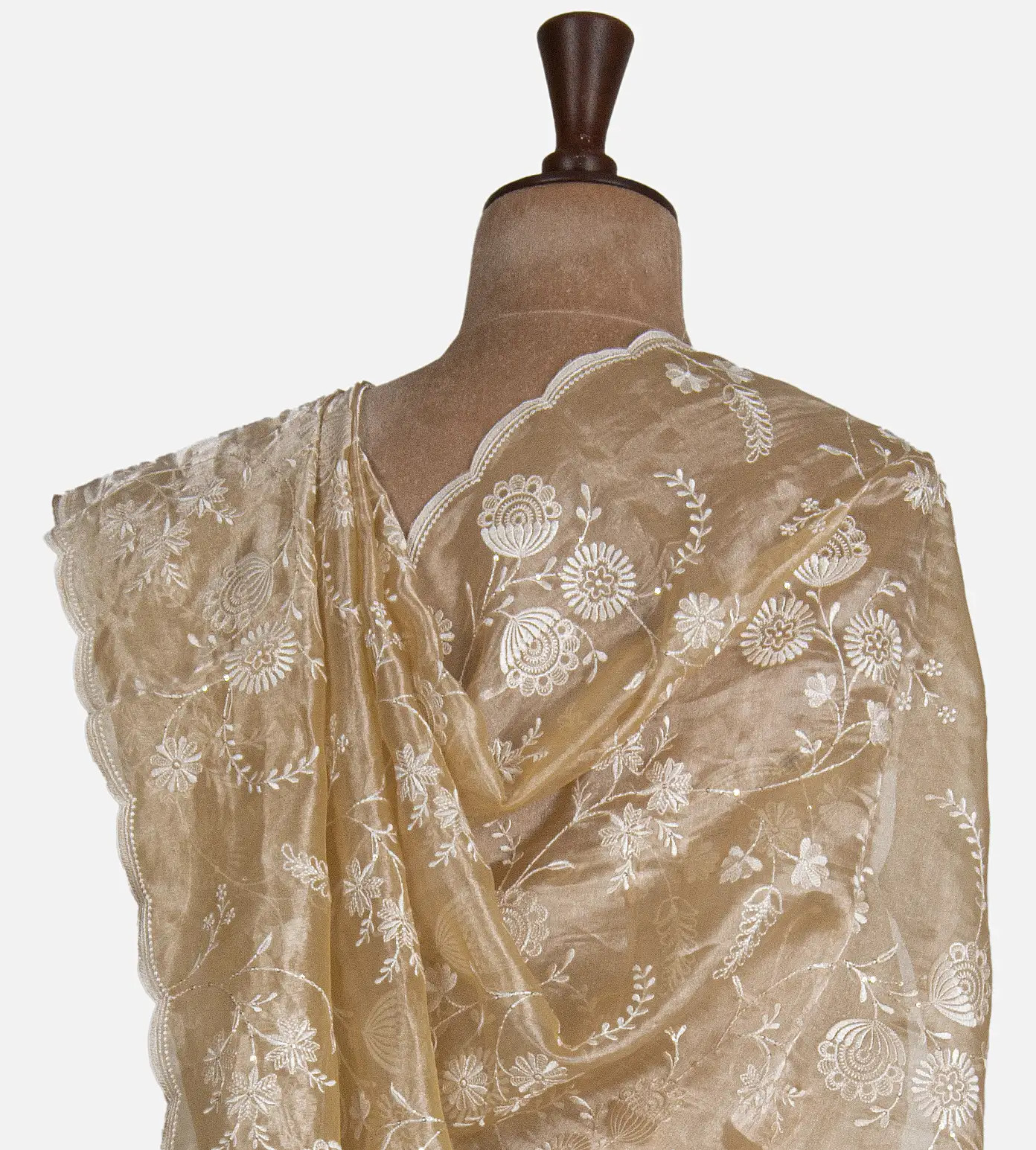 beige-tissue-organza-saree-d06110666-c