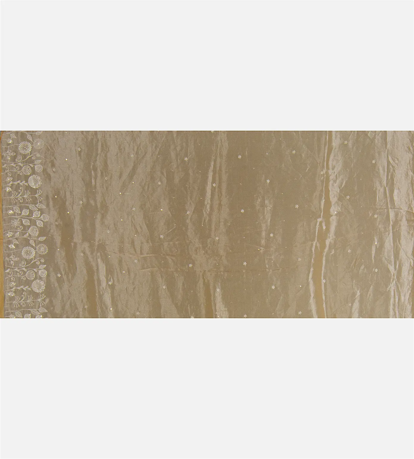 beige-tissue-organza-saree-d06110666-d