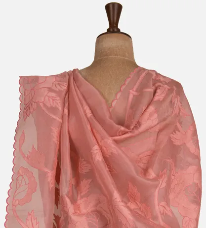 salmon-pink-tissue-organza-saree-with-applique-embroidery-d04101932-c
