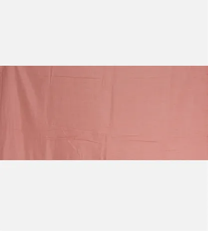 salmon-pink-tissue-organza-saree-with-applique-embroidery-d04101932-d