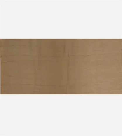 beige-tissue-tussar-saree-c0254188-d