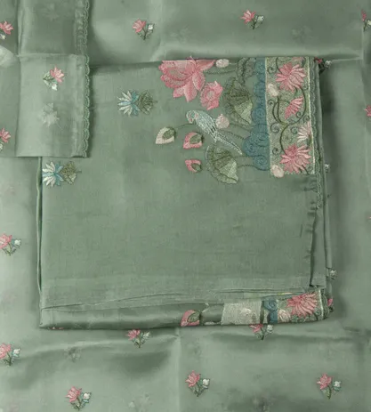 light-green-organza-salwar-d06108065-a