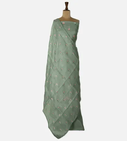 light-green-organza-salwar-d06108065-b