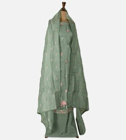 light-green-organza-salwar-d06108065-c