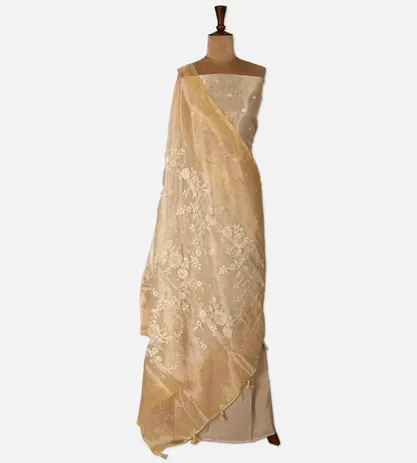 light-beige-organza-embroidery-salwar-d08120250-b