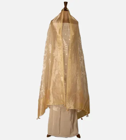 light-beige-organza-embroidery-salwar-d08120250-c