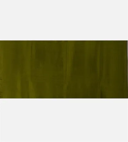 green-banarasi-silk-saree-d08118021-d