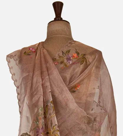 rose-gold-tissue-kota-silk-saree-d09125012-c