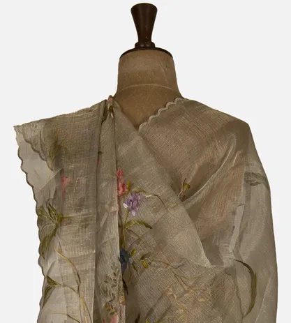 beige-tissue-kota-silk-saree-d09125014-c