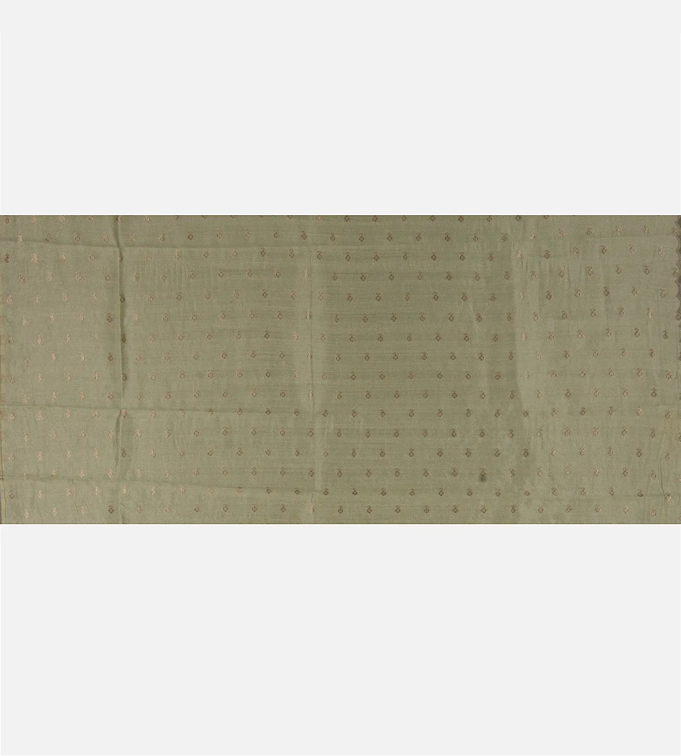 beige-tissue-kota-silk-saree-d09125014-d