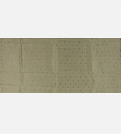 beige-tissue-kota-silk-saree-d09125014-d