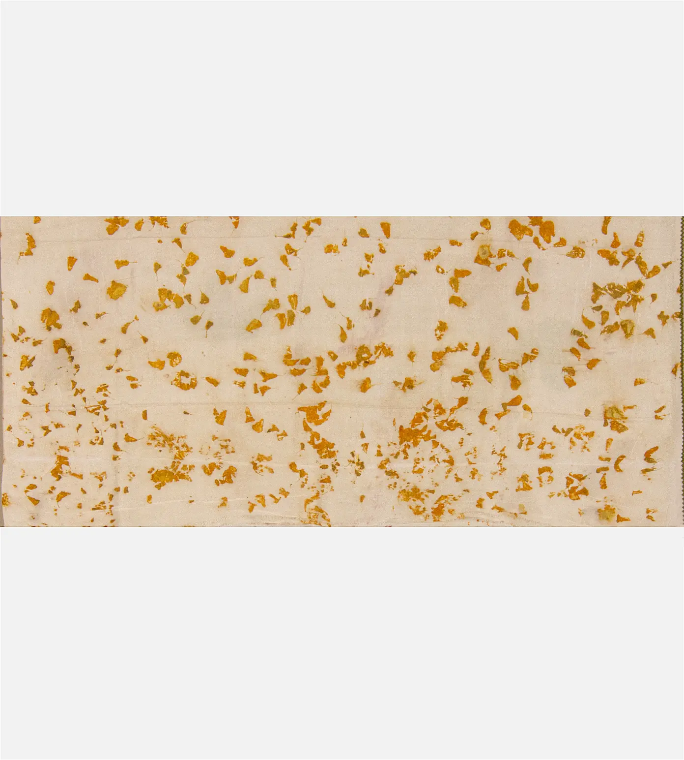 off-white-mulberry-silk-saree-d09124261-d