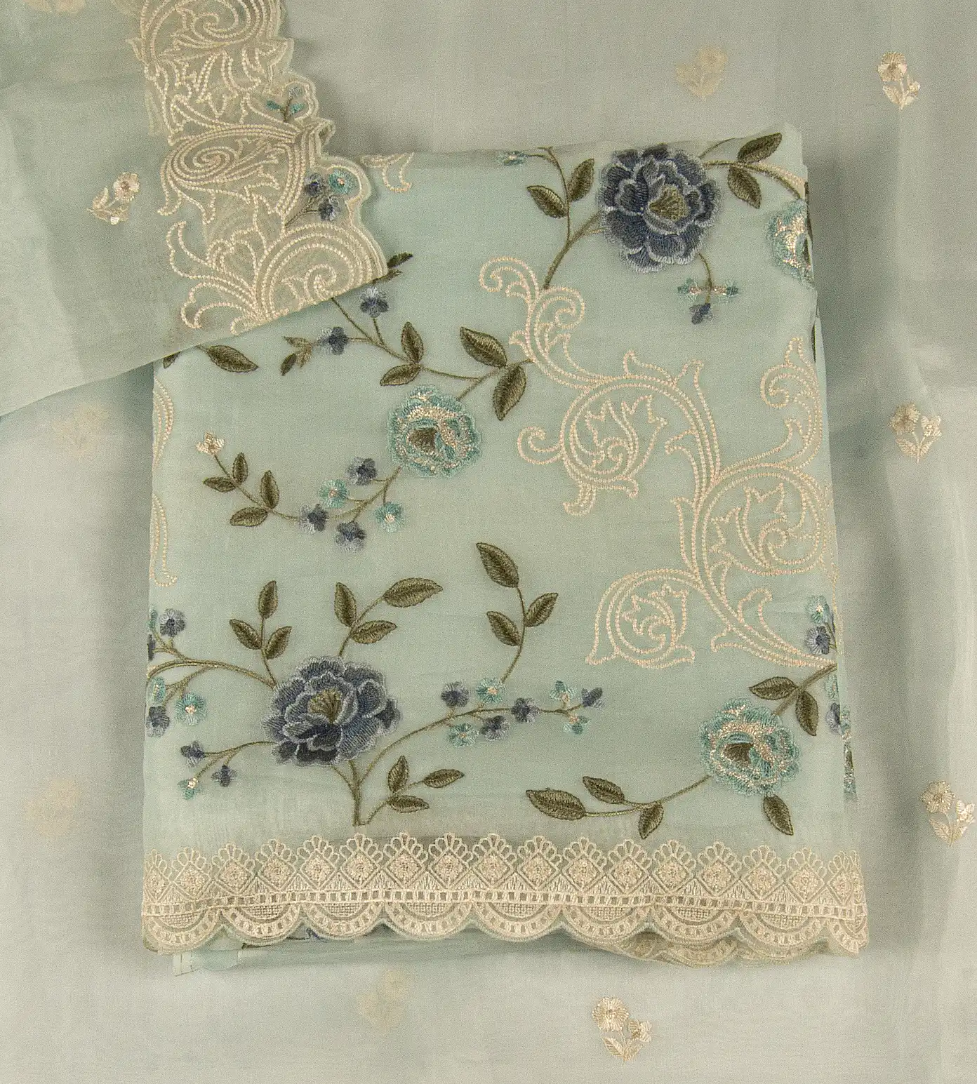 light-blue-organza-salwar-d05103519-a